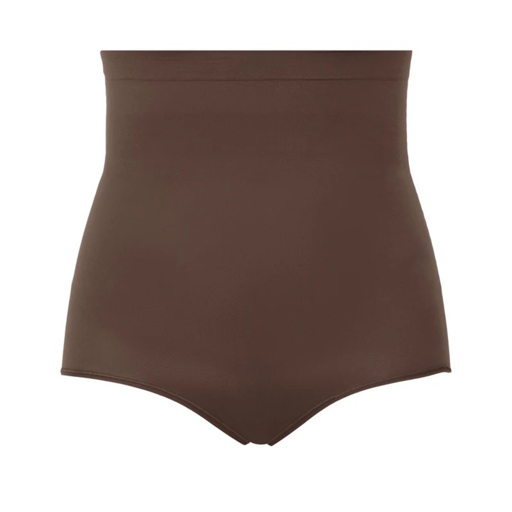 NWT! SPANX Seamless Power High- Waisted Brief in Chestnut 1X